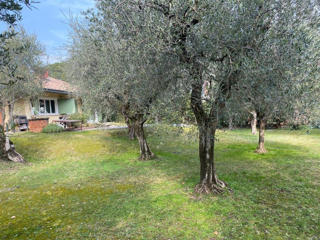 Villa Sweet Flower - With Private Pool And Garden Manerba del Garda Luaran gambar