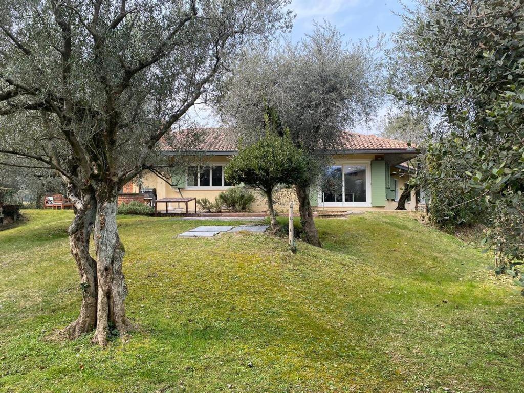 Villa Sweet Flower - With Private Pool And Garden Manerba del Garda Luaran gambar